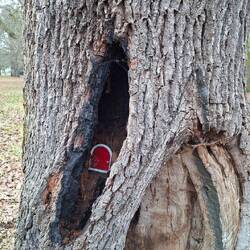 Hier wohnen sie also, die Waldwichtel!😁