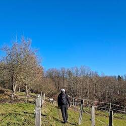 ....direkt auf schöne Pfade.👍