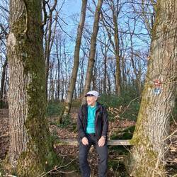 Interessante Sitzgelegenheit zwischen zwei Eichen.