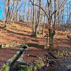 Der Heilbrunnen am Ohmbach.