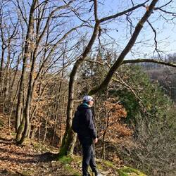 Immer mal wieder schöne Aussichten.