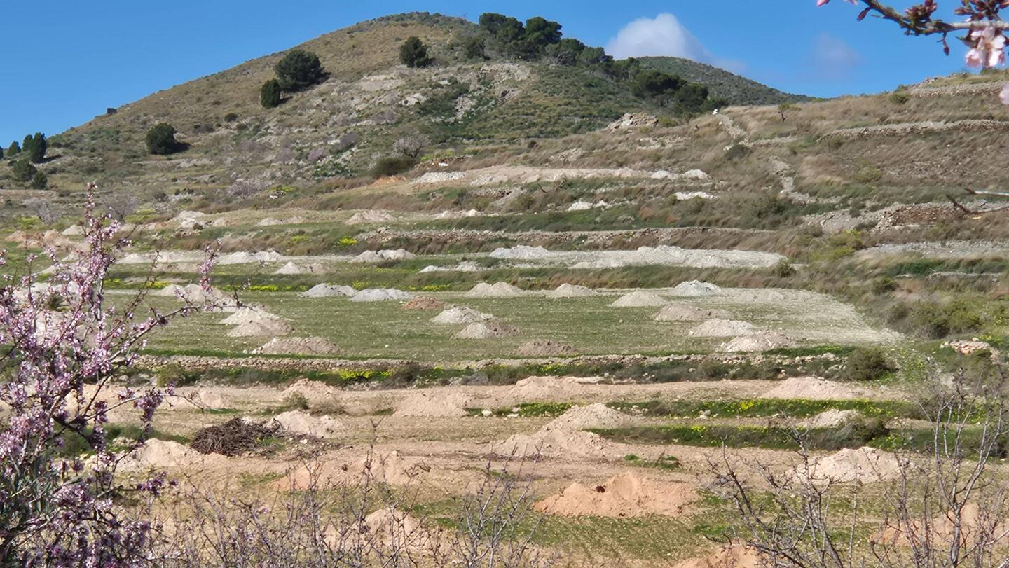 Andere Länder- andere Sitten. Hier werden die Pflanzlöcher so gemacht. Aber für was?