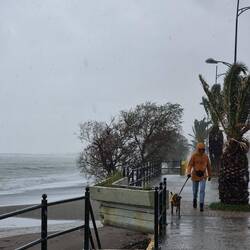 Da will jemand ganz schnell zurück ins Trockene (nicht Anina).