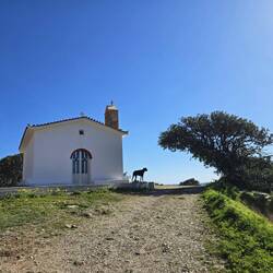 ..tagsüber Ziegen und Schafe..