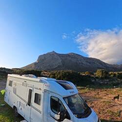 ..nachts hört man die Schakale..