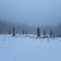 Wenn man abends durch den Nebel fährt, fängt man an Dinge zu sehen, die es gar nicht gibt.