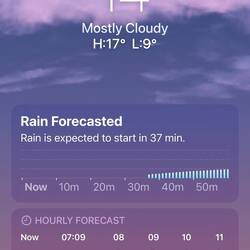 Dann hat es aus Eimern geschüttet , keine Bilder weil ich mit meiner Schwester Face time hatte 😅