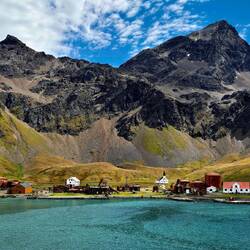 Grytviken from Ship