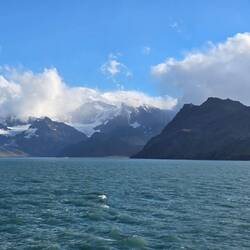 Fortuna Bay, South Georgia