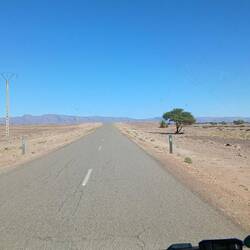 allein auf weiter Flur