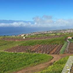 Blick vom Weingut Bodegas Monjes