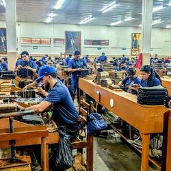 Hier werden die Zigarren gerollt