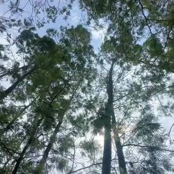 Nickerchen im Schatten am See