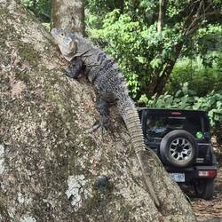 Er ist nur hier unterwegs