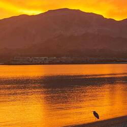 Even the birds watched the sun set