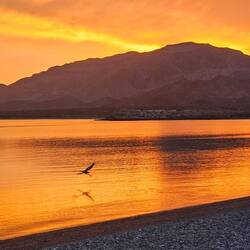 One for the photo books