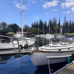 Hilo