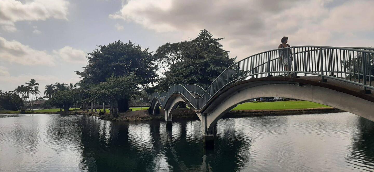 Dans le parc à Hilo