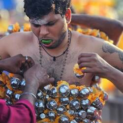 Man beachte die Limette.