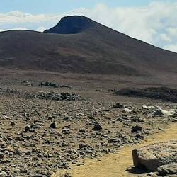 En montant au Mauna Kea