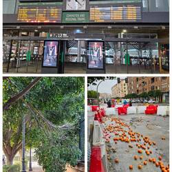 Sturmschäden 🚄🌳🍊