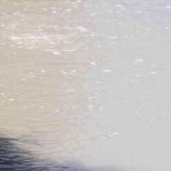 Correction: Hydrogen sulphide gas.