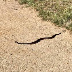 Is it real...... Ah Yes!