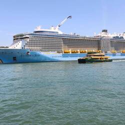 "Anthem of the Seas" im Hafen von Sydney