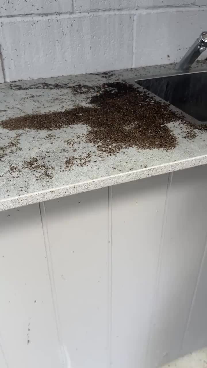 Beim Morgenabwasch...