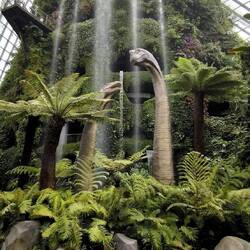 Wasserfall im Cloud Forest