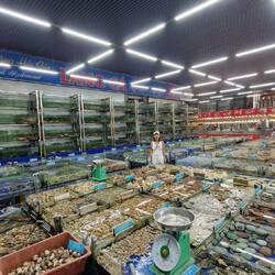 Man wähle seine Meeresfrucht 🤯