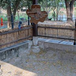 Massengrab mit Frauen/Babys