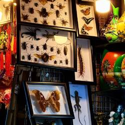 Puis visite du marché local ...🦂