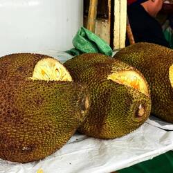Des Jack fruits en passant ...