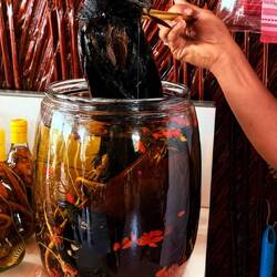 De l'alcool au coucal ?🫣🤯