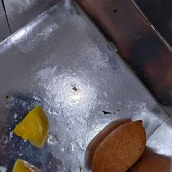 Gubis mit Zitrone, sehr lecker