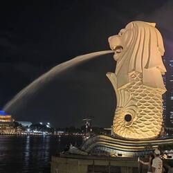 Merlion am Abend