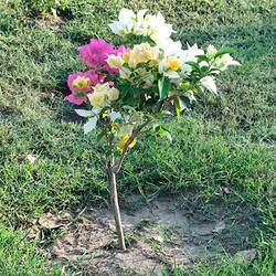 So klein und schon soooo bunt