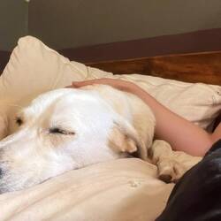 Bianca, hostel feelgood manager