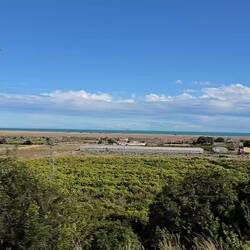 ... schönes Spanien 🌞🫒🍊🍋🌴