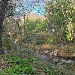 ... kleiner Bach 🌊