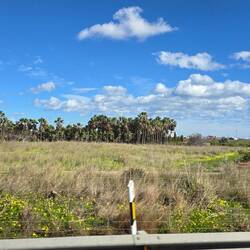 ... unterwegs kommt der Frühling 🌞🌺🫒🍋🍊