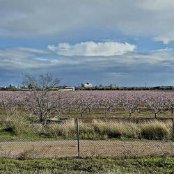 Wundervoll 🌺🌺🌺🌺🌺