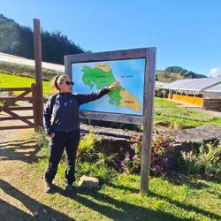 Linda bei der Übersetzung