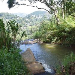 Top of the waterfall