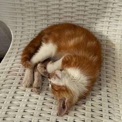 Die macht den Schlaf der Gerechten 🥰