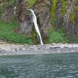 Waterfall in Hercules Bay