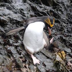 Opps, hang on, a bit of a rocky road to the water