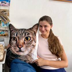 The cat even has a pillow of himself