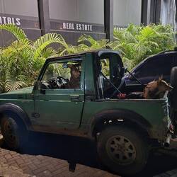 Und ein Hund am Steuer